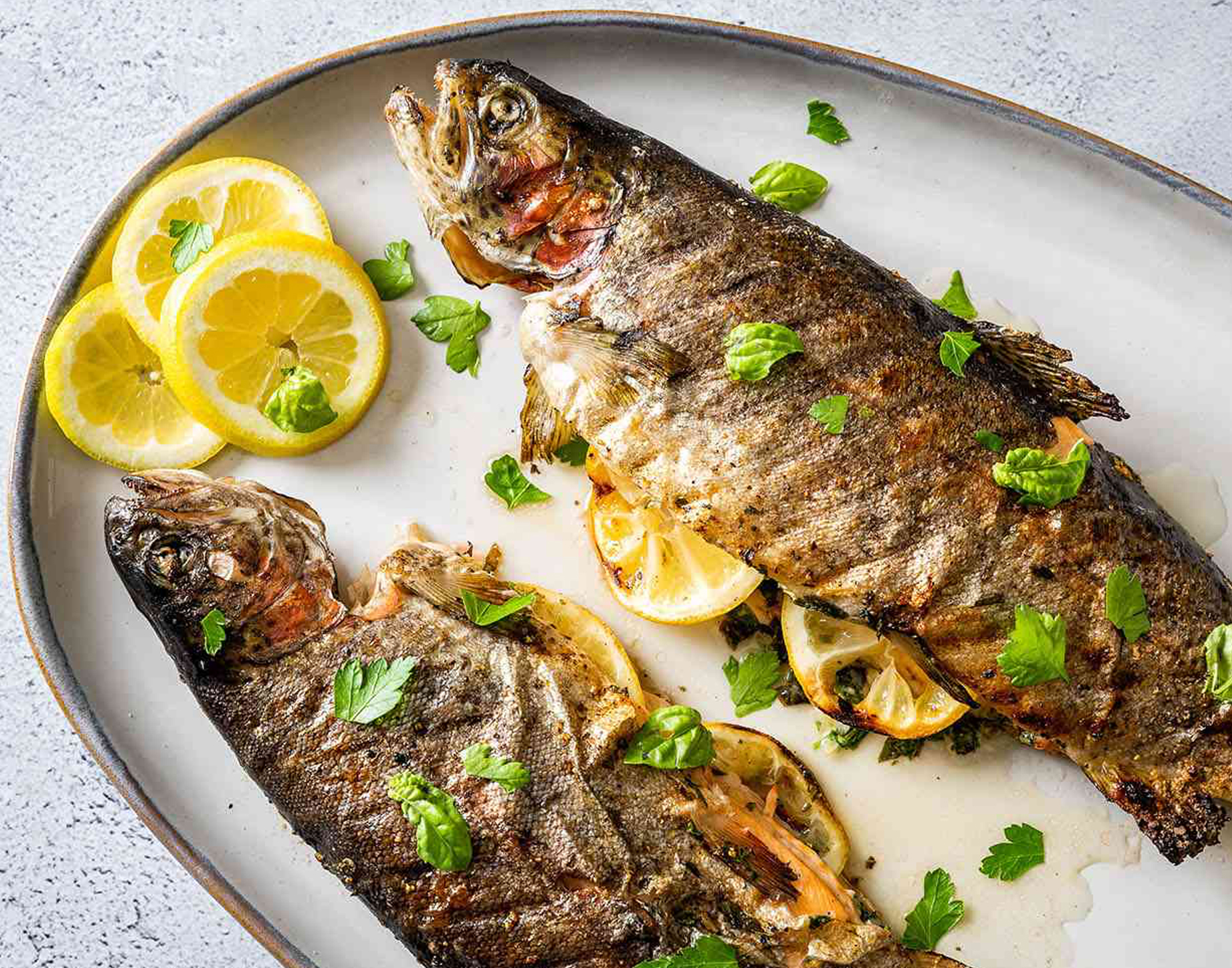 fish